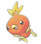 torchic (PKMN)